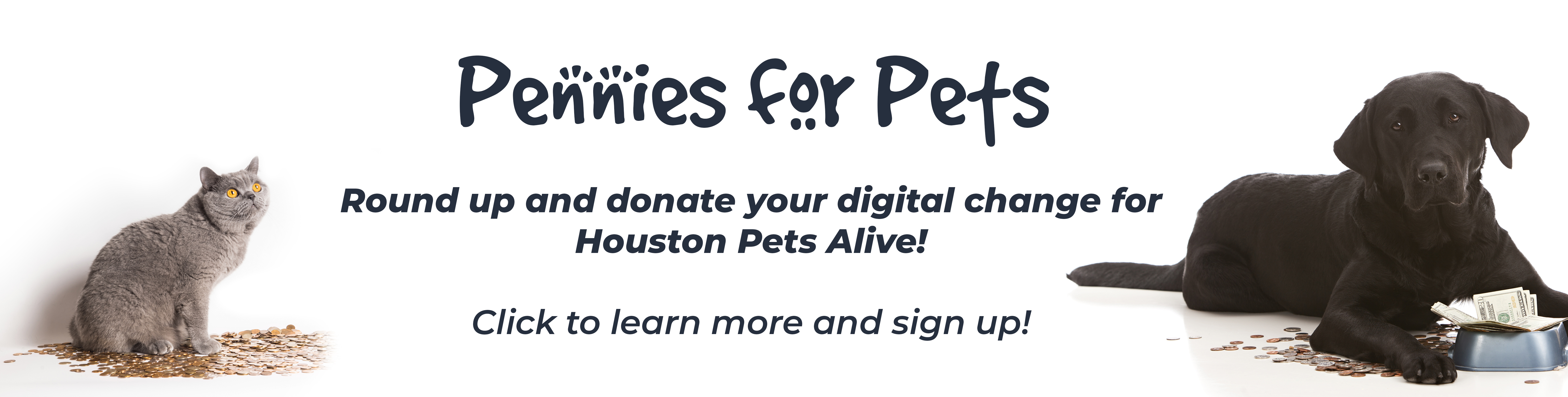 Houston Pets Alive