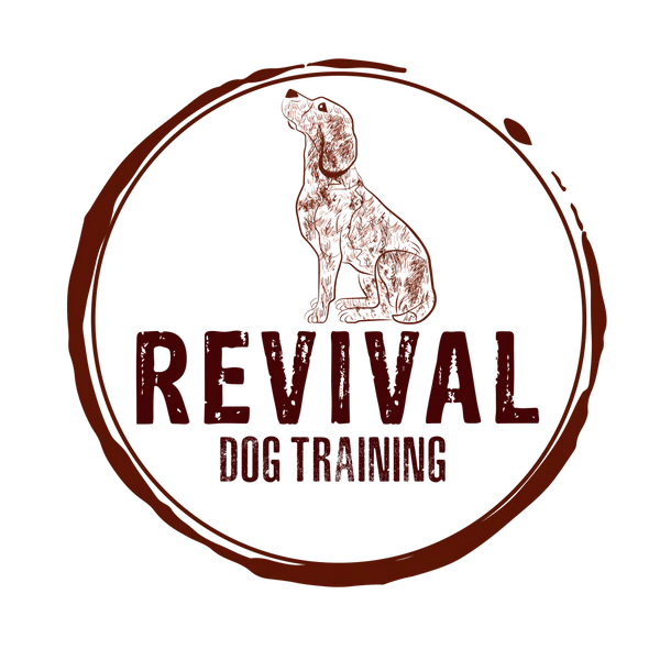 revival dog training logo