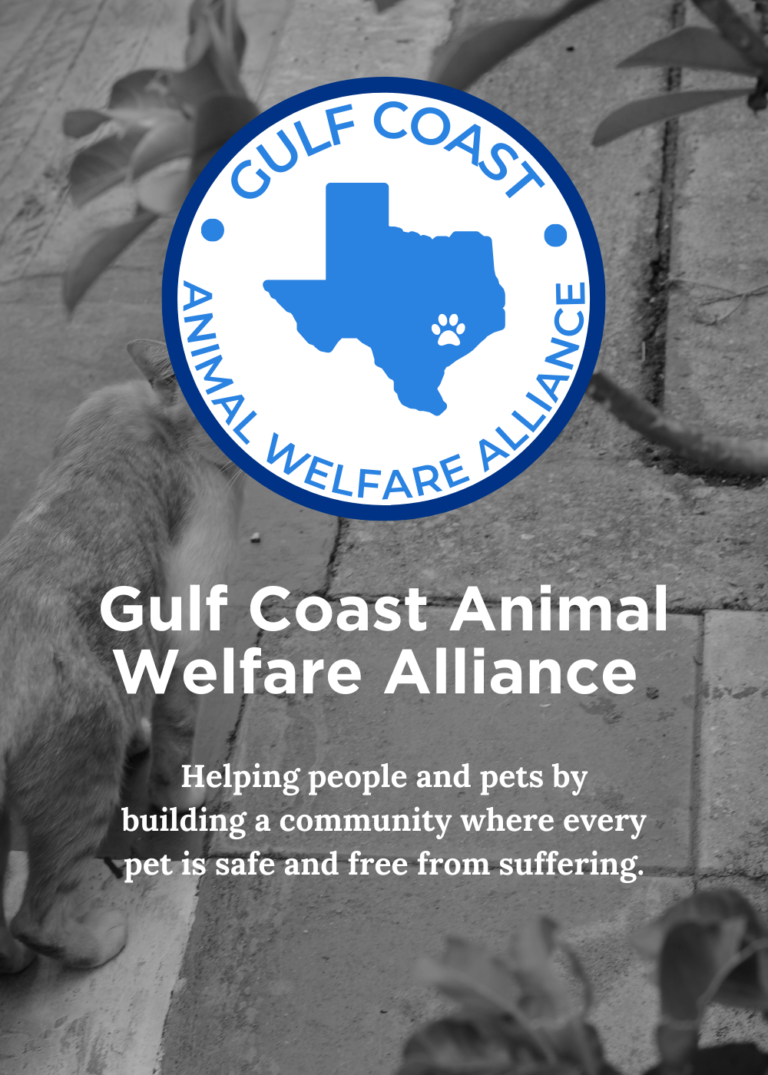 Rescue Me Animal Advocacy