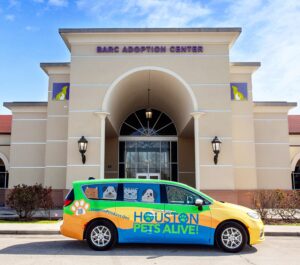 About - Houston Pets Alive!