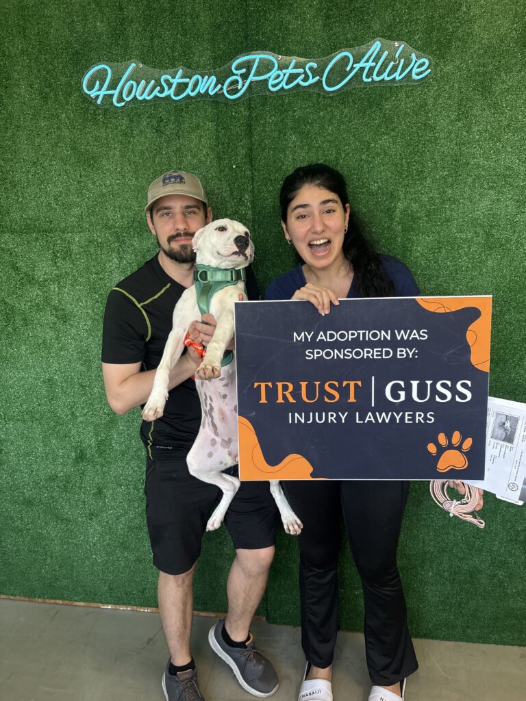 Houston puppy adoption, adoptable puppy in Houston