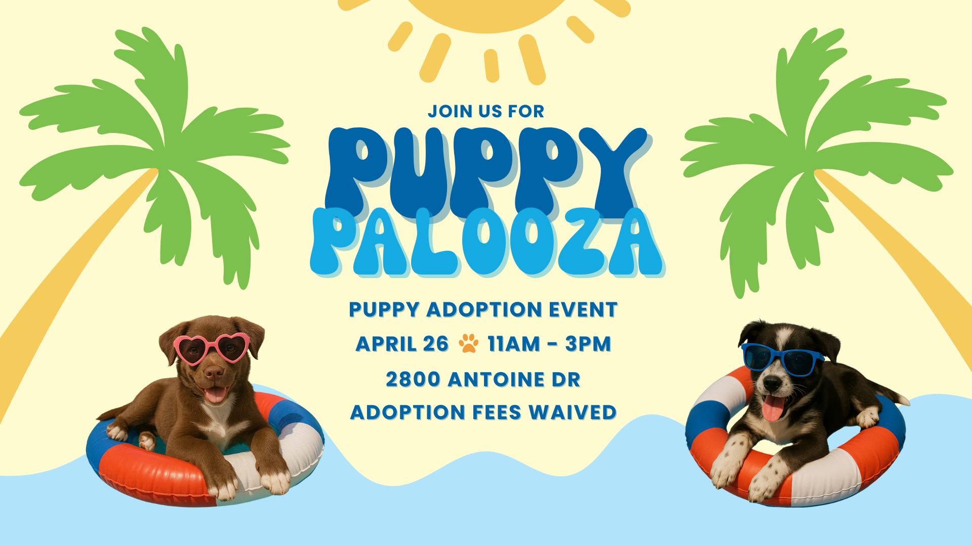 Puppy adoption, puppy adoption Houston, free puppies, free puppies Houston