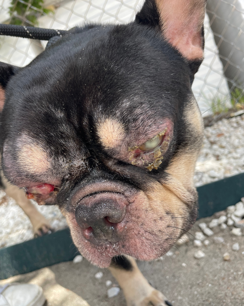 Website photo gallery (12)