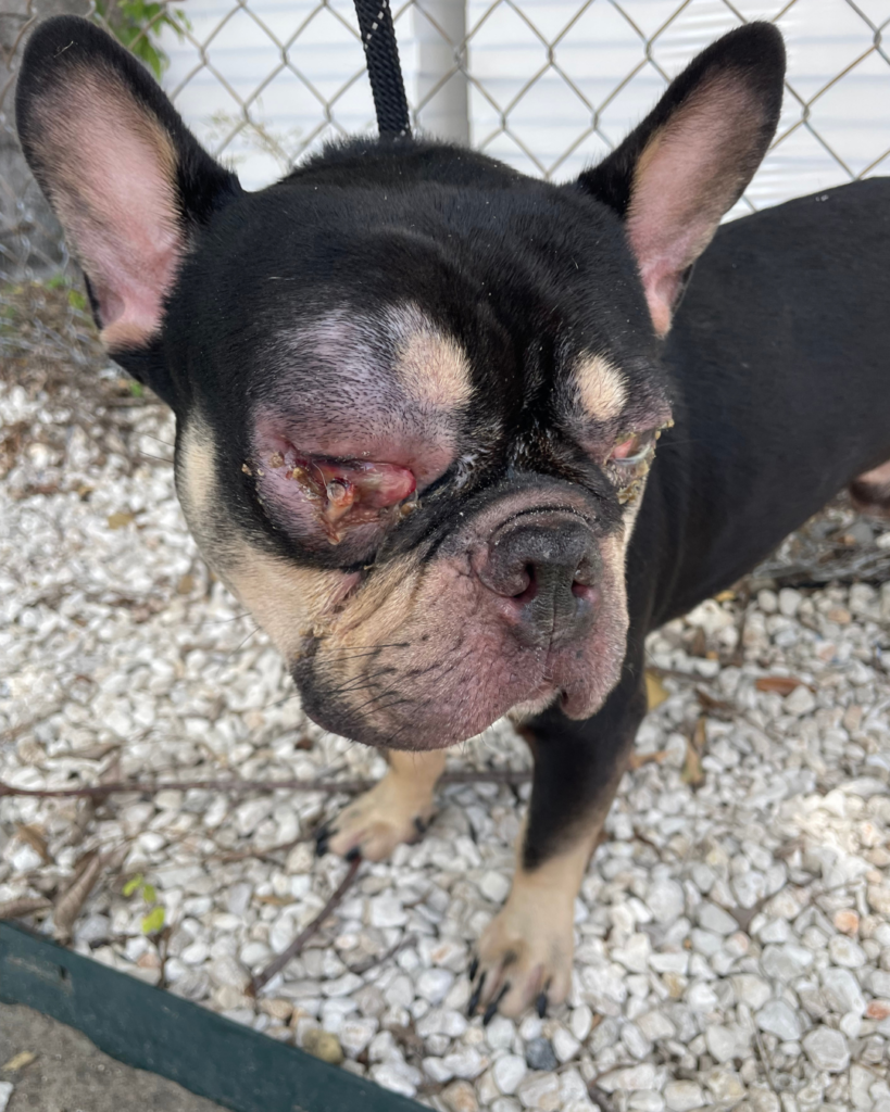 Website photo gallery (13)