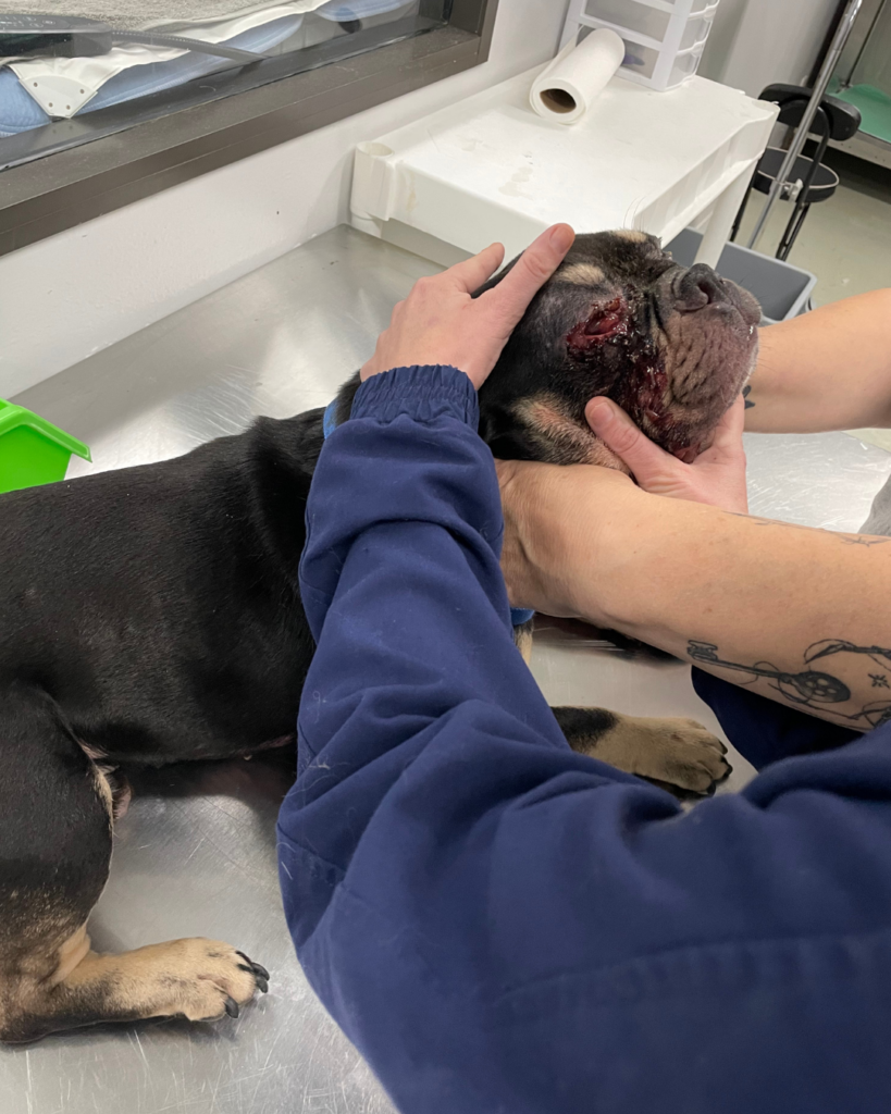 Website photo gallery (16)