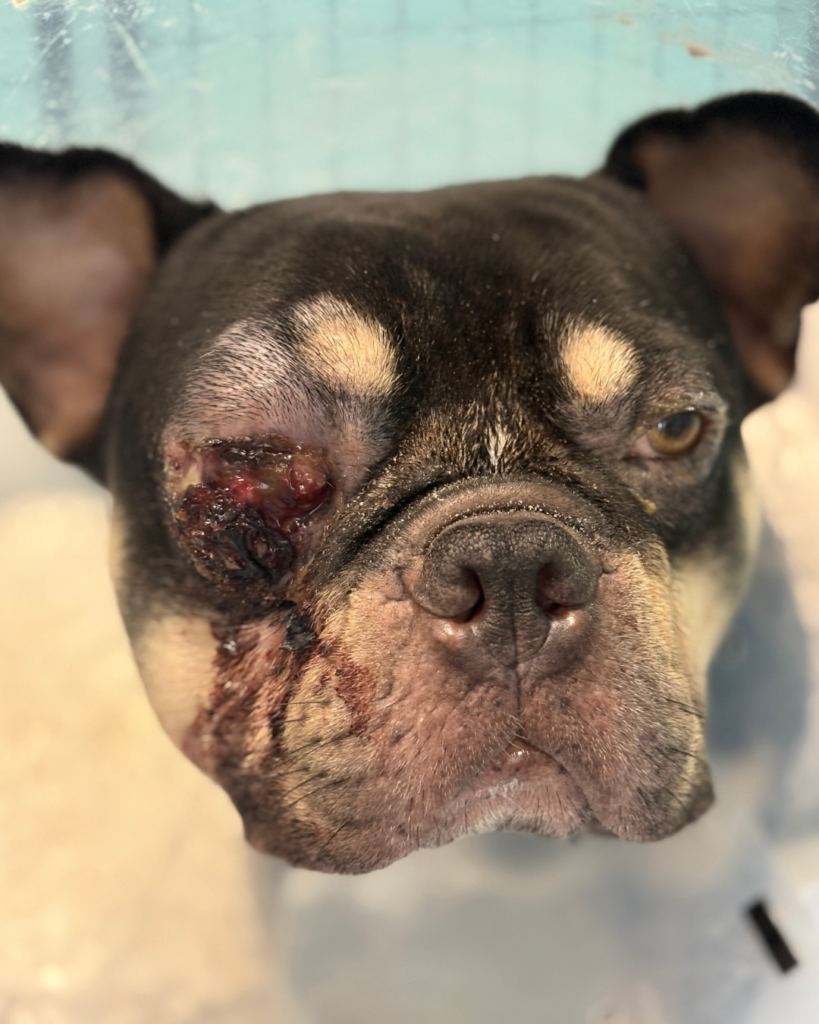 Website photo gallery (17)