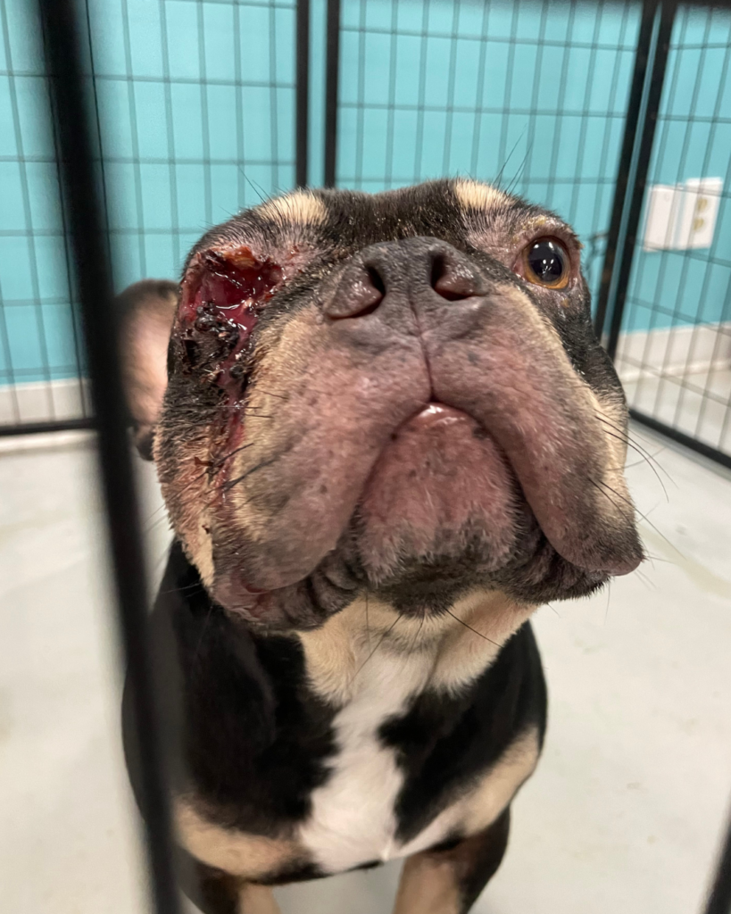 Website photo gallery (18)