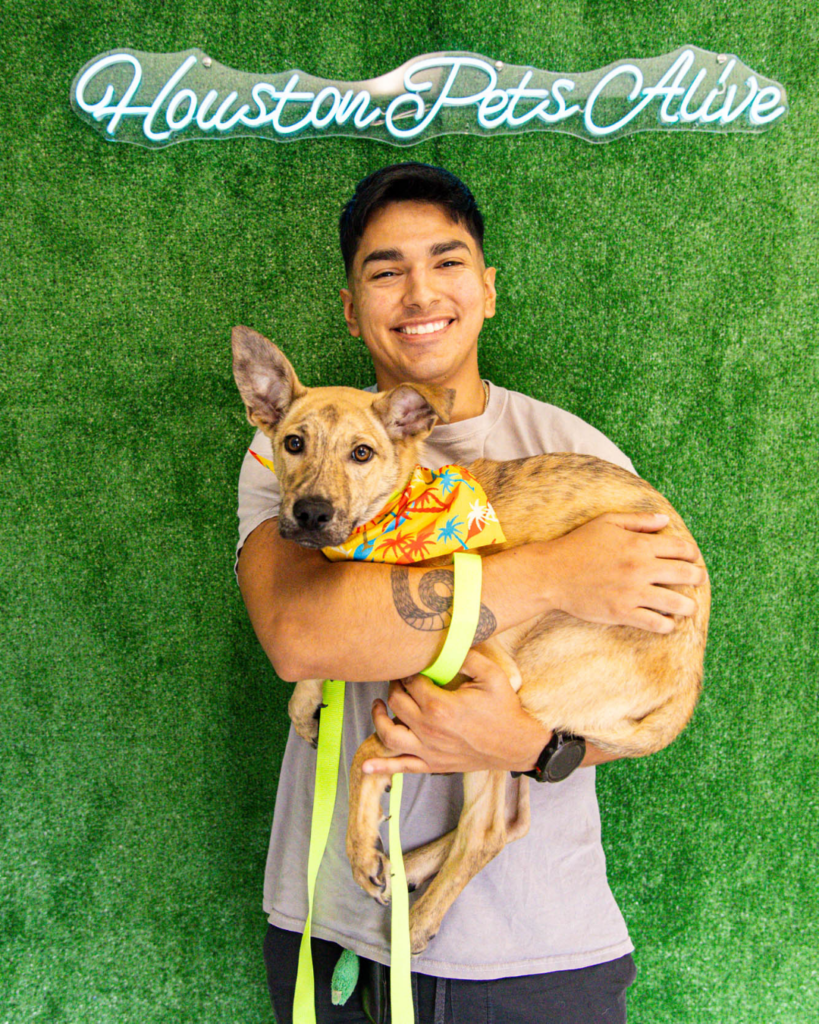 Adoption fees waived at All Ages Adoption