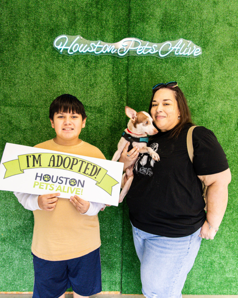 Adoption fees waived at All Ages Adoption