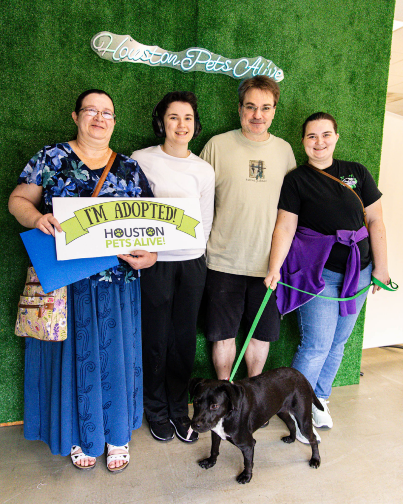 Adoption fees waived at All Ages Adoption