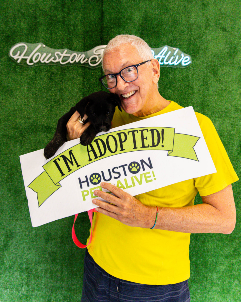 Adoption fees waived at All Ages Adoption