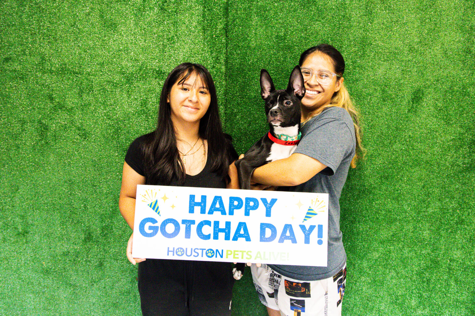 Furever Yours Pet Adoption Event | Houston Pets Alive!