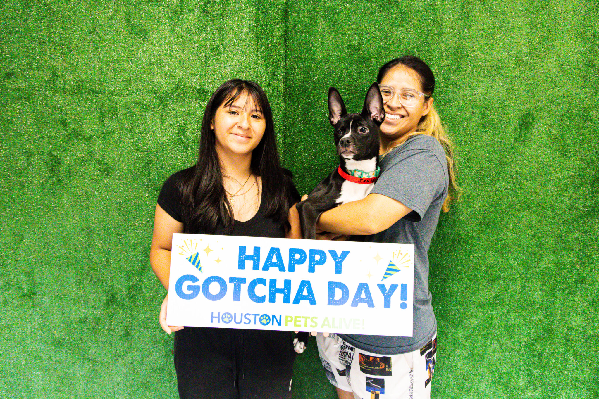 Bring Love Home Dog Adoption Event - Houston Pets Alive!
