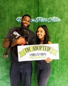 About - Houston Pets Alive!