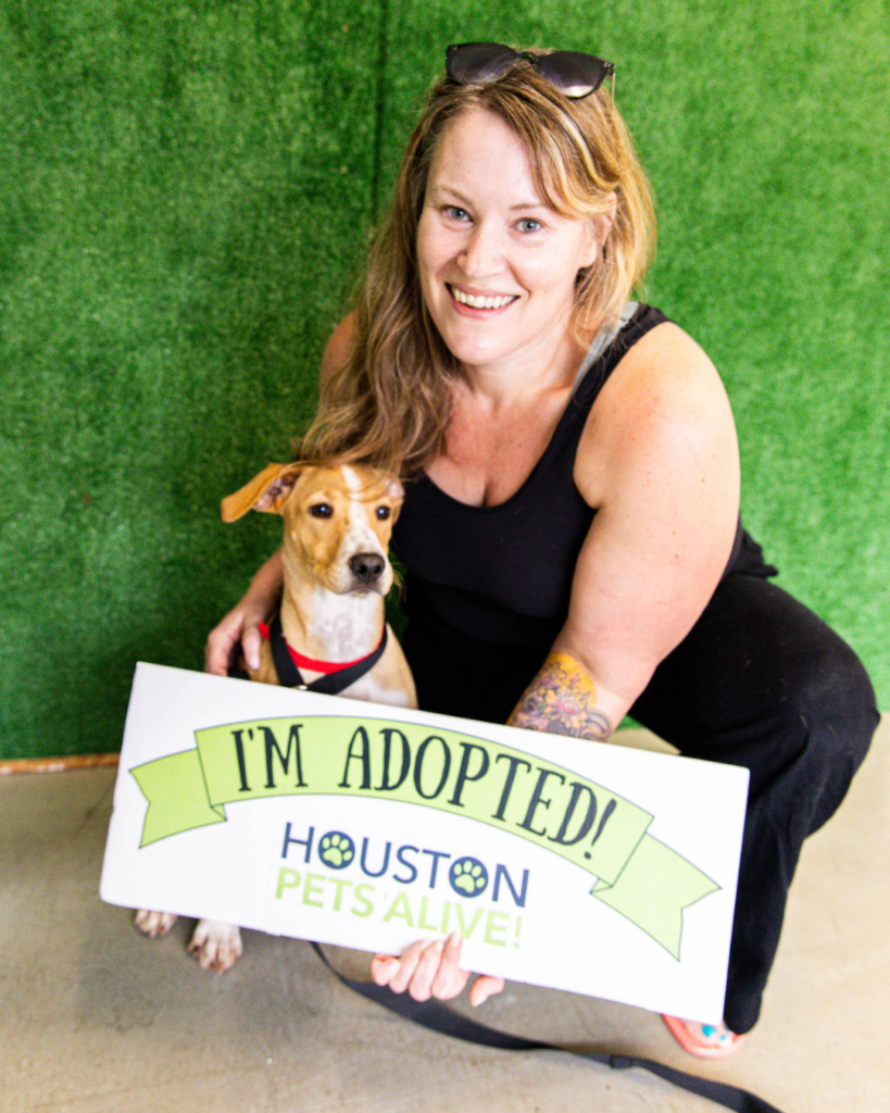 Adoptable dog at Houston Pets Alive!