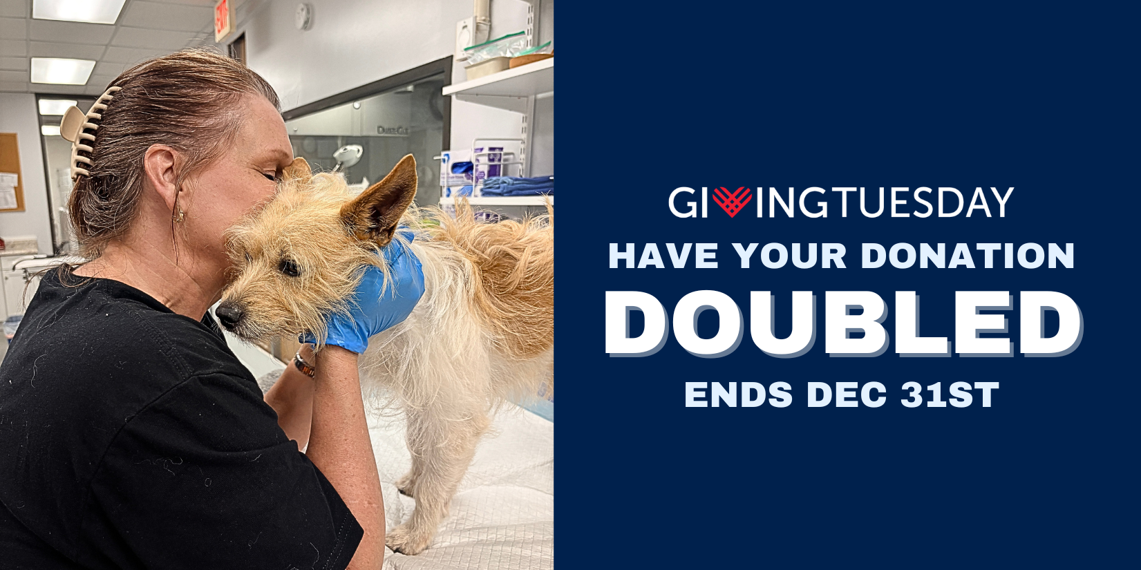 Giving Tuesday Mailer | Double Your Impact