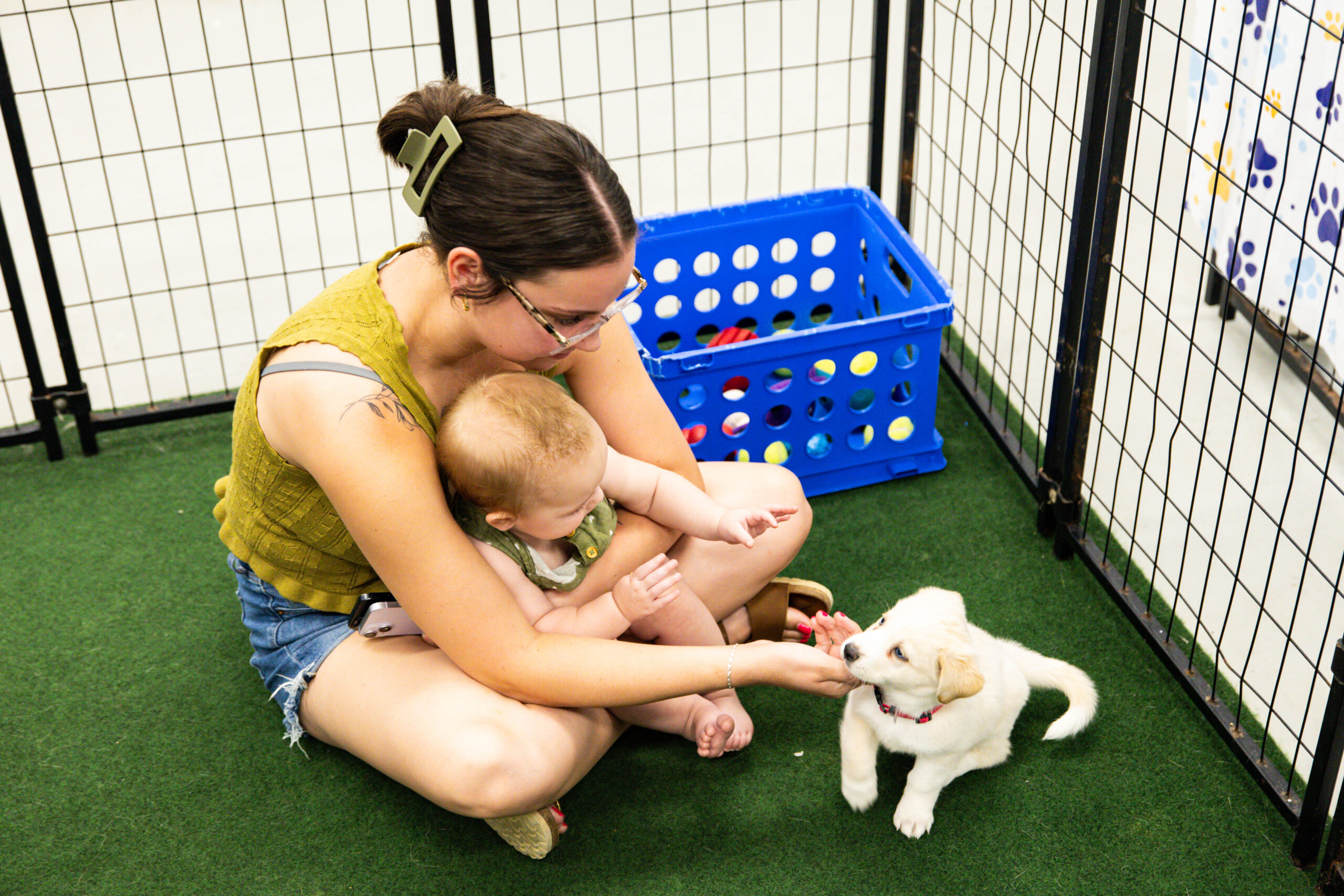 Bring Love Home Dog Adoption Event - Houston Pets Alive!