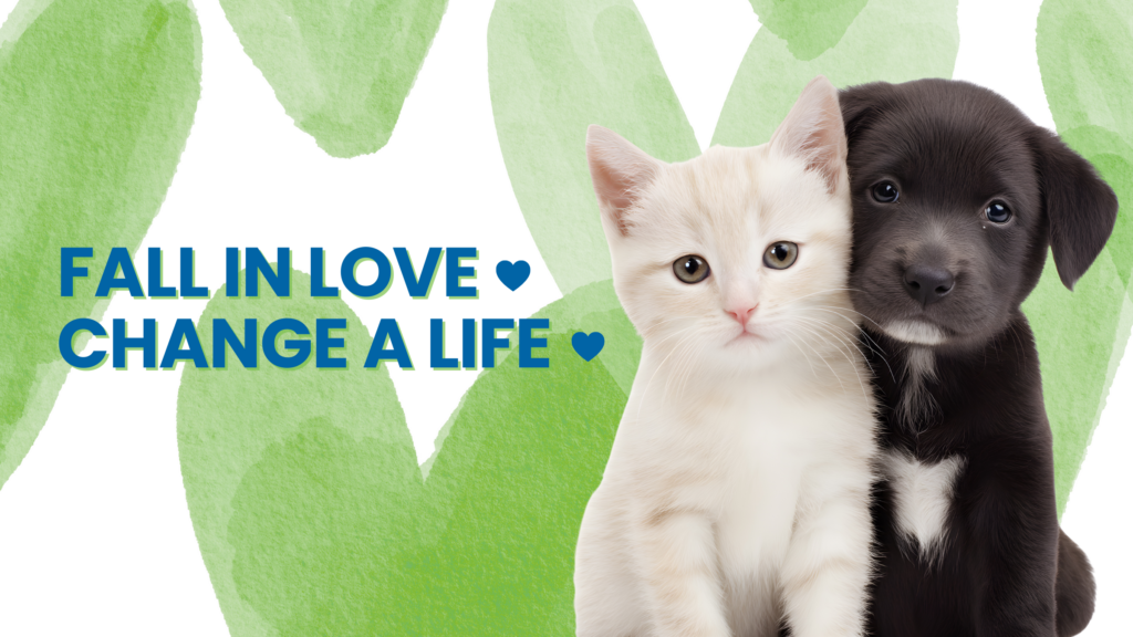 Furever Yours Pet Adoption Event | Houston Pets Alive!