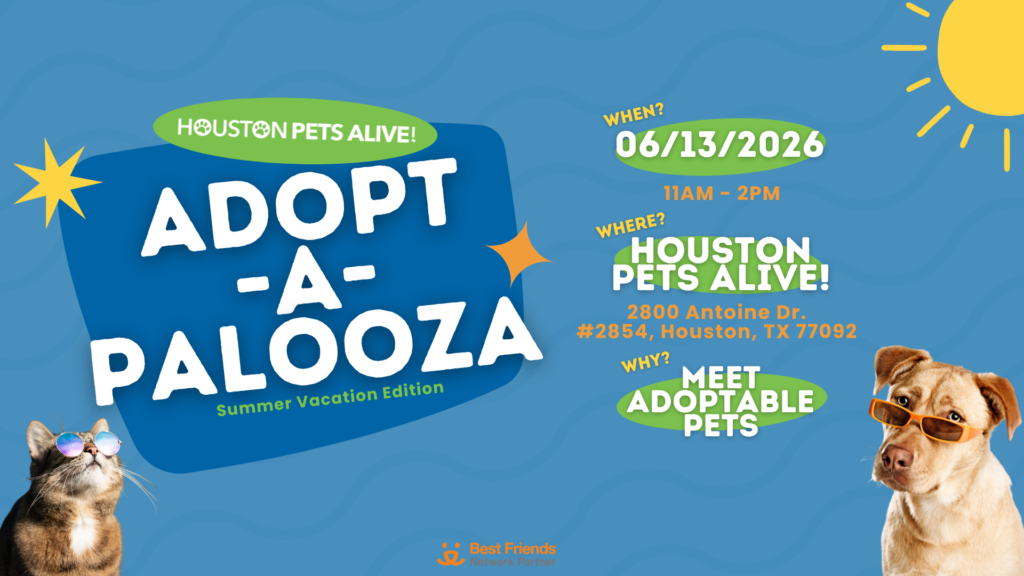 Adopt-a-palooza flier for June 13