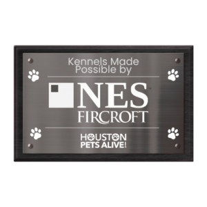 Kennel Plagues
